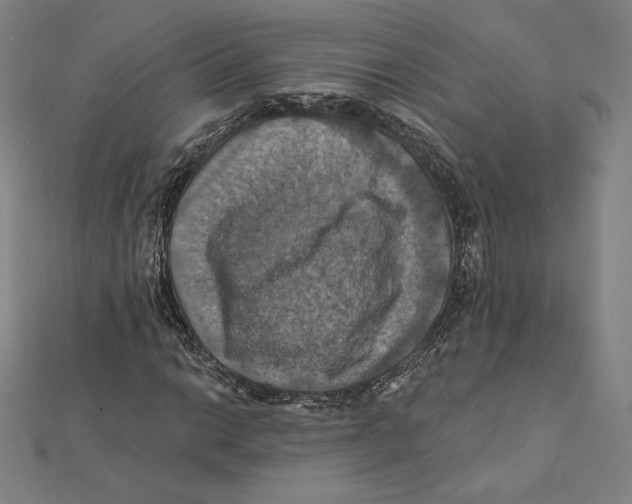 X0000112031014200908311211