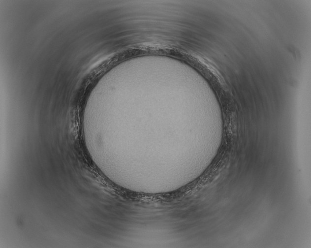 X0000112031015200908311211