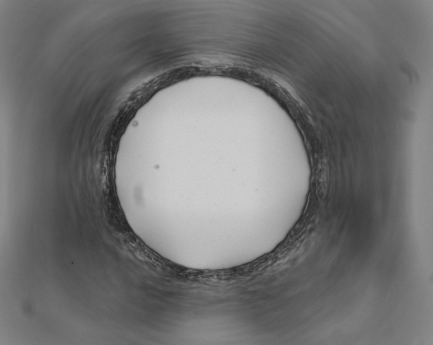 X0000112031016200908311211