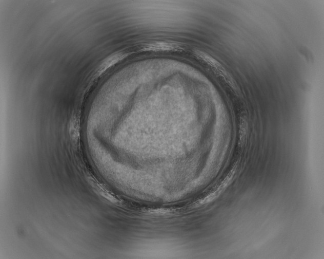 X0000112031017200908311211