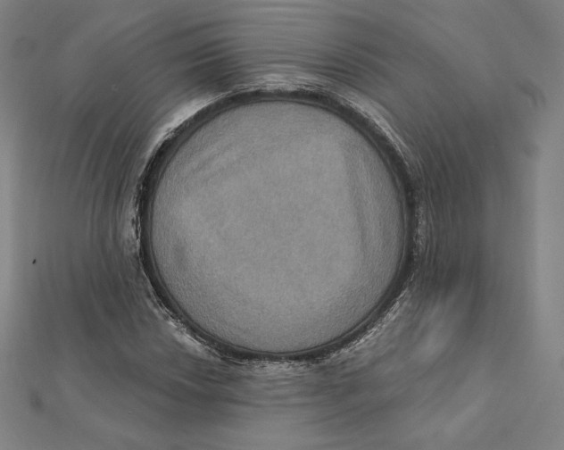 X0000112031018200908311211