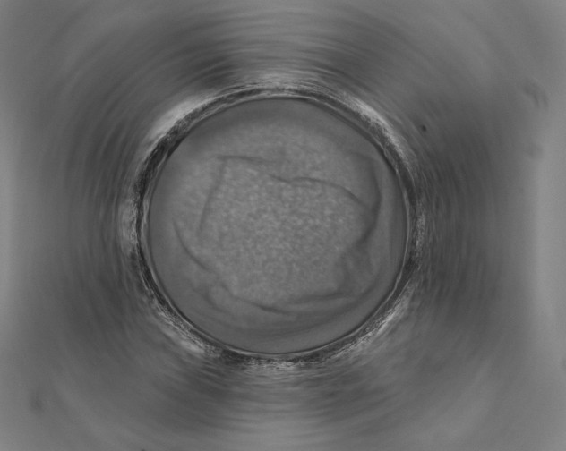 X0000112031019200908311211