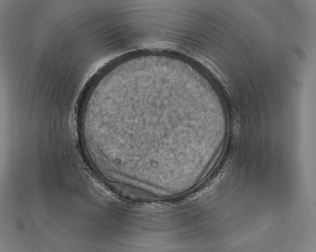 X0000112031022200908311211