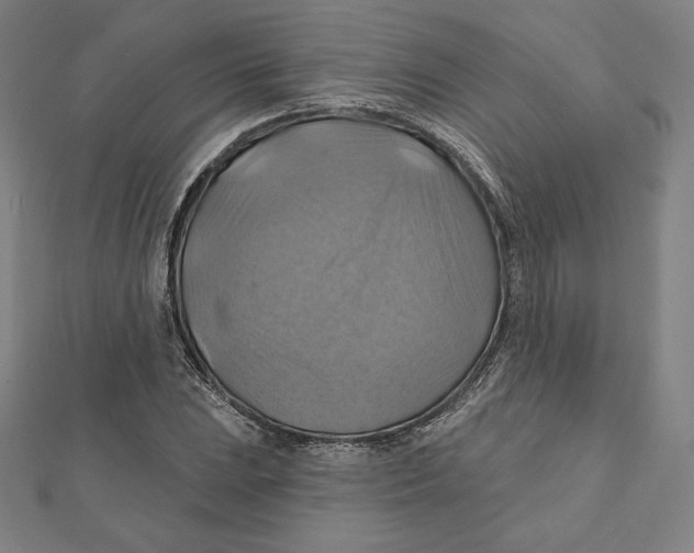 X0000112031023200908311211