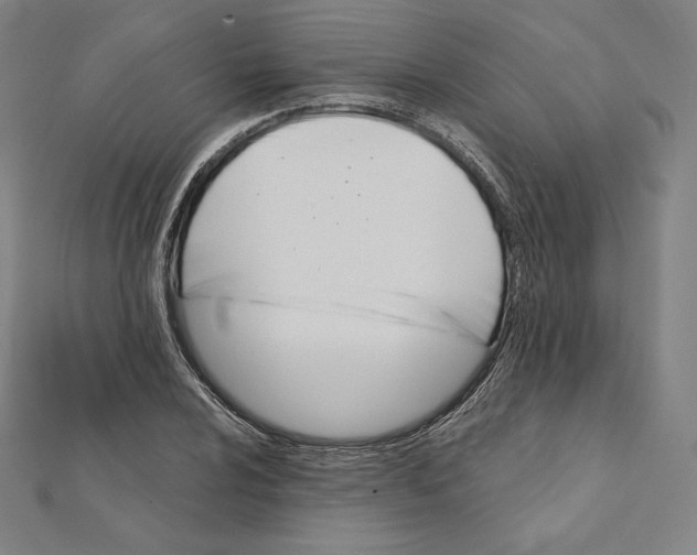 X0000112031024200908311211
