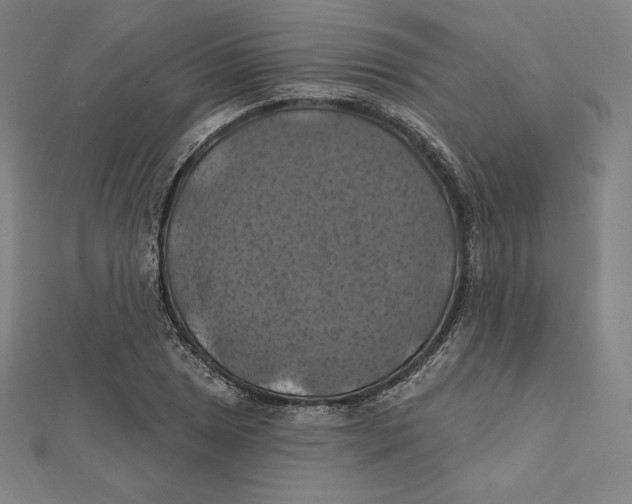 X0000112031025200908311211