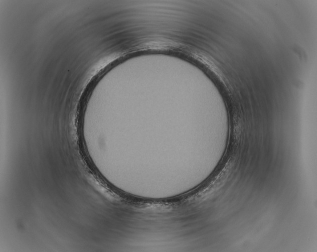 X0000112031026200908311211
