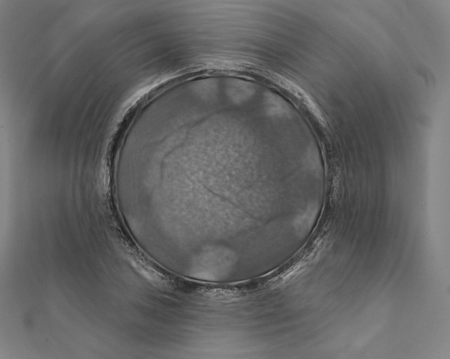 X0000112031027200908311211