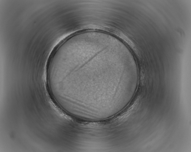 X0000112031028200908311211