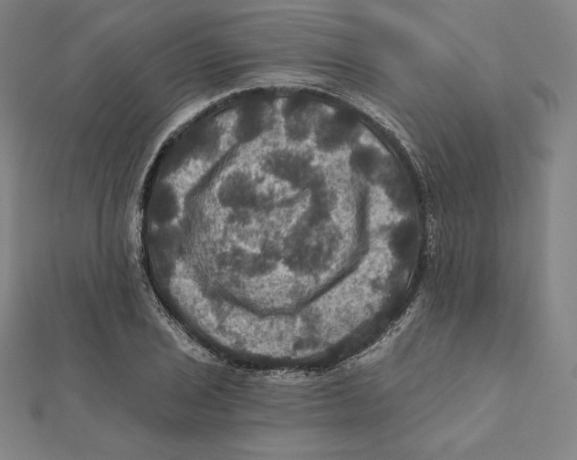 X0000112031029200908311211