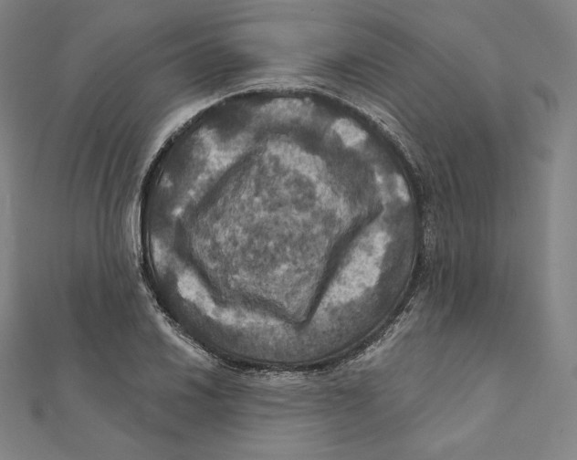 X0000112031030200908311211