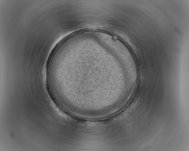 X0000112031032200908311211