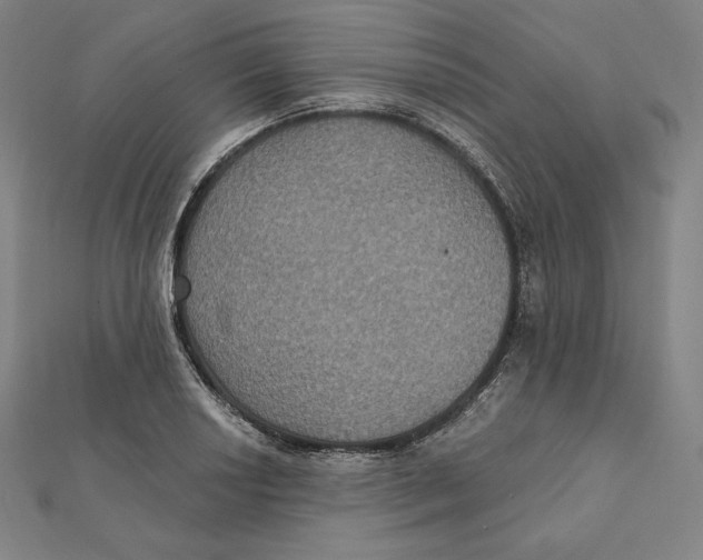 X0000112031034200908311211