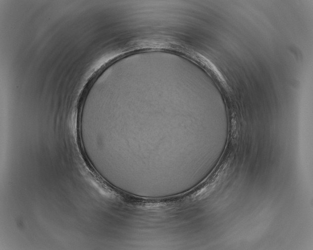X0000112031035200908311211