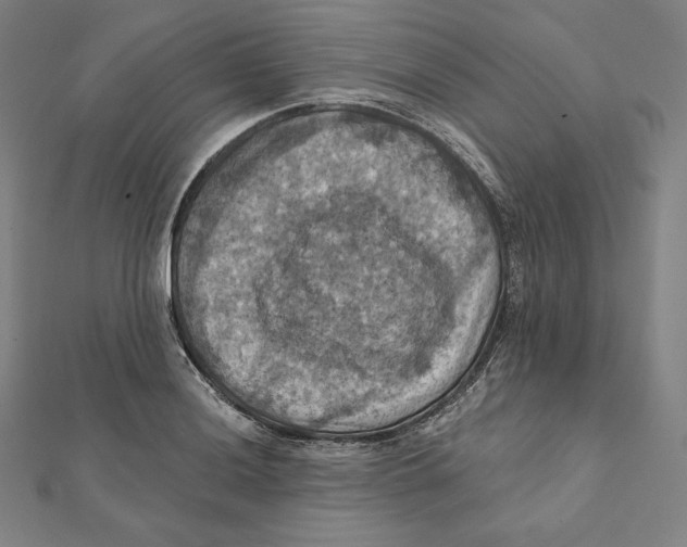 X0000112031036200908311211
