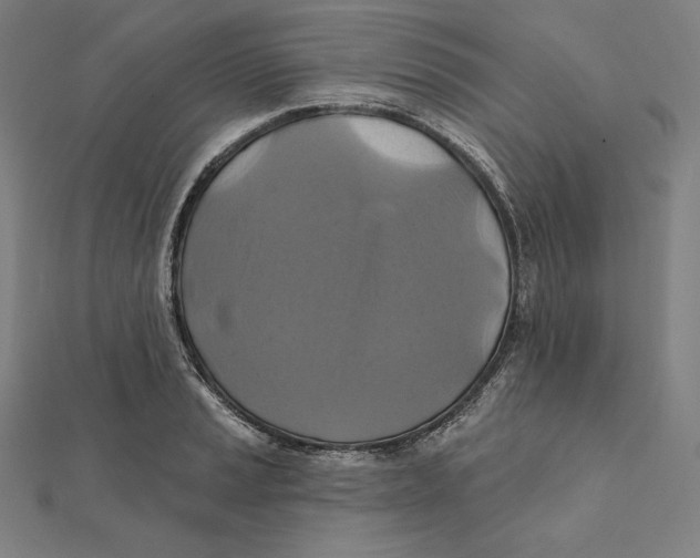X0000112031037200908311211