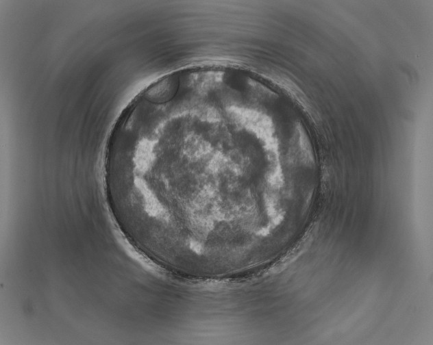 X0000112031038200908311211