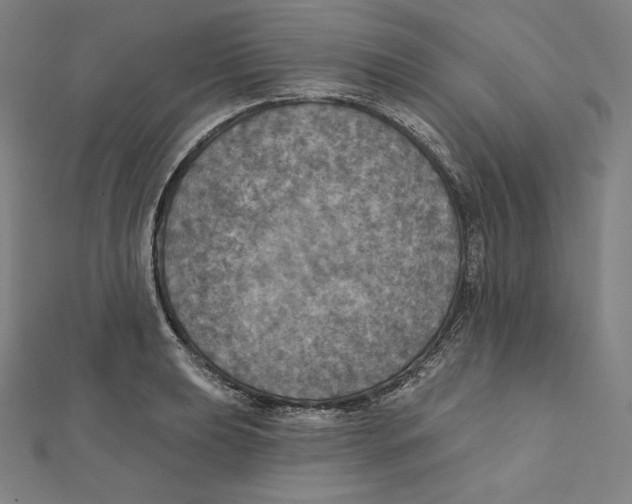 X0000112031039200908311211
