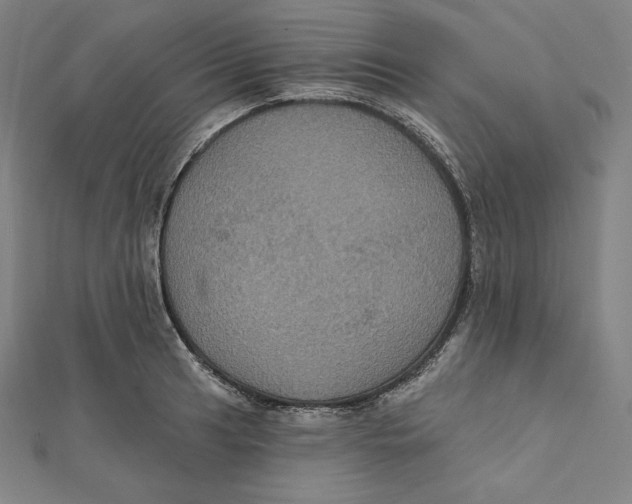 X0000112031041200908311211