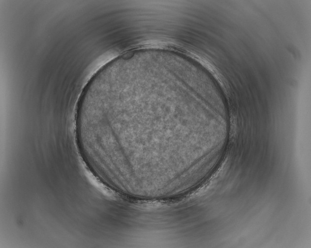 X0000112031042200908311211
