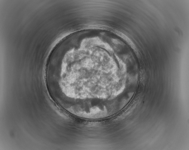 X0000112031043200908311211