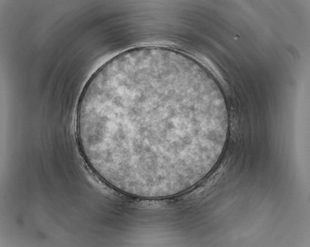X0000112031044200908311211