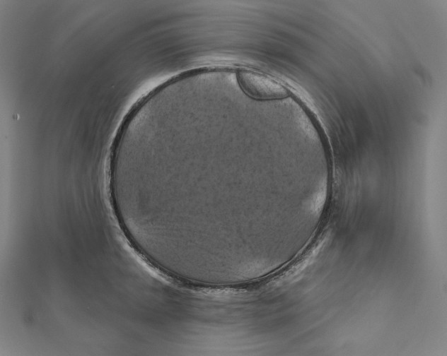 X0000112031045200908311211