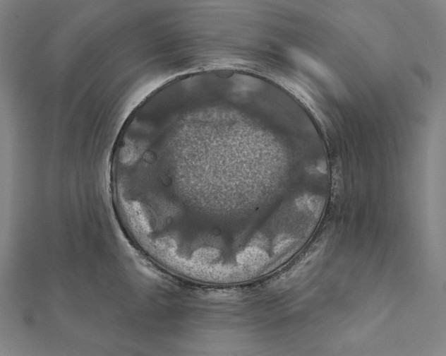 X0000112031047200908311211