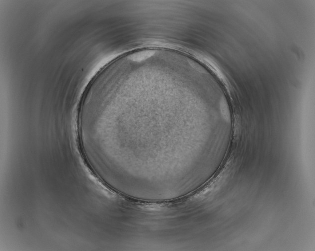X0000112031048200908311211