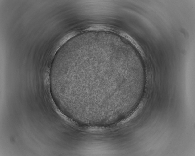 X0000112031049200908311211