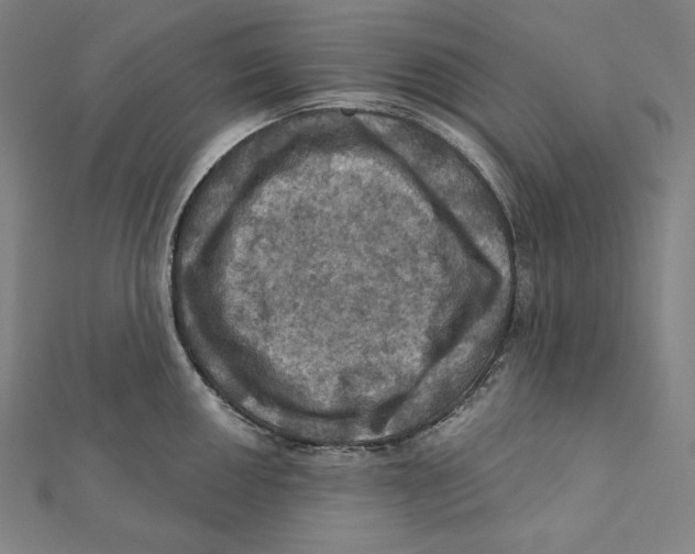 X0000112031050200908311211