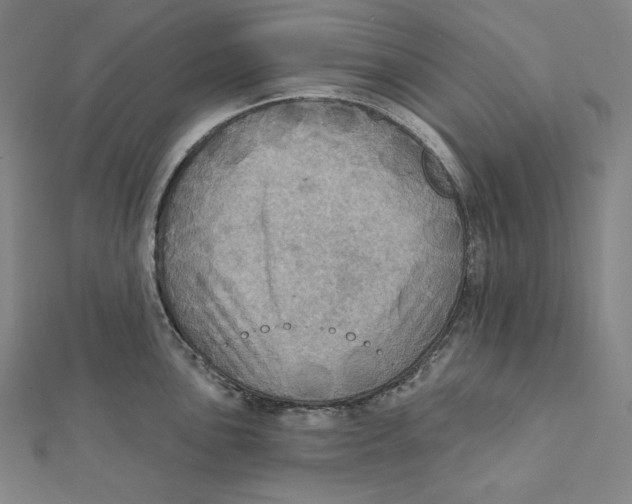 X0000112031051200908311211