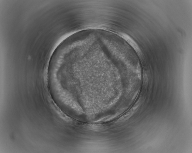 X0000112031052200908311211