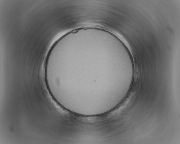 X0000112031053200908311211