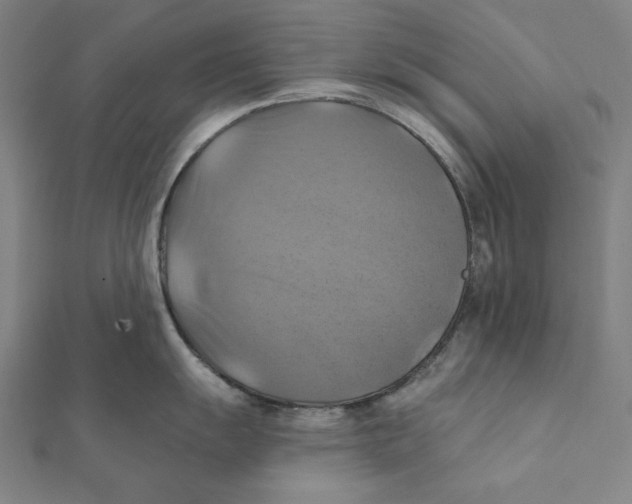 X0000112031055200908311211