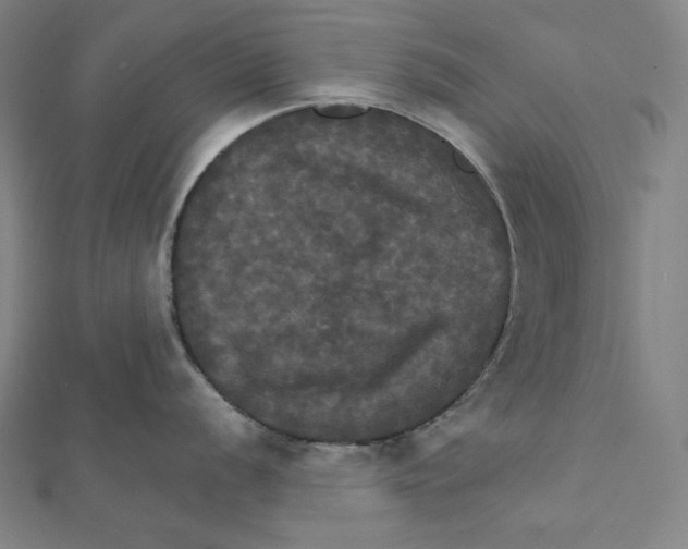 X0000112031056200908311211