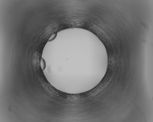 X0000112031058200908311211