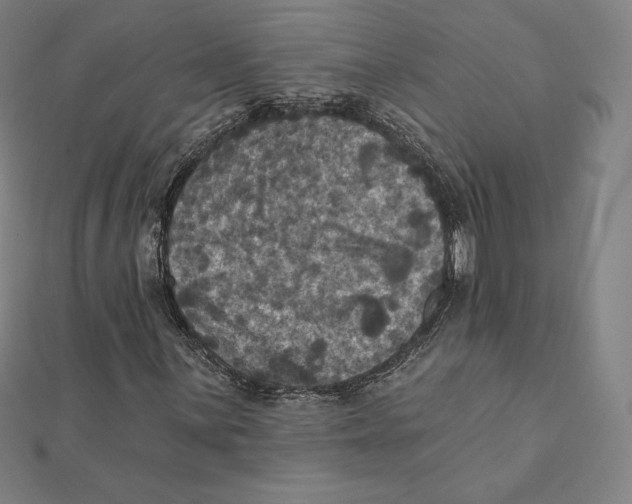 X0000112031059200908311211