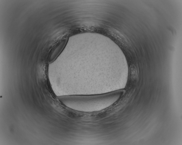 X0000112031060200908311211