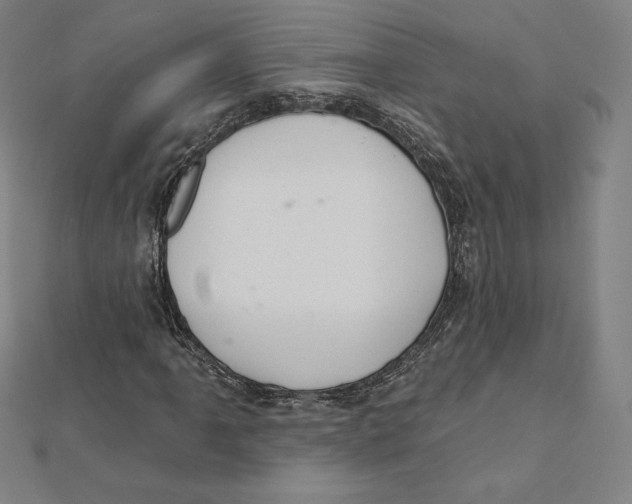 X0000112031061200908311211