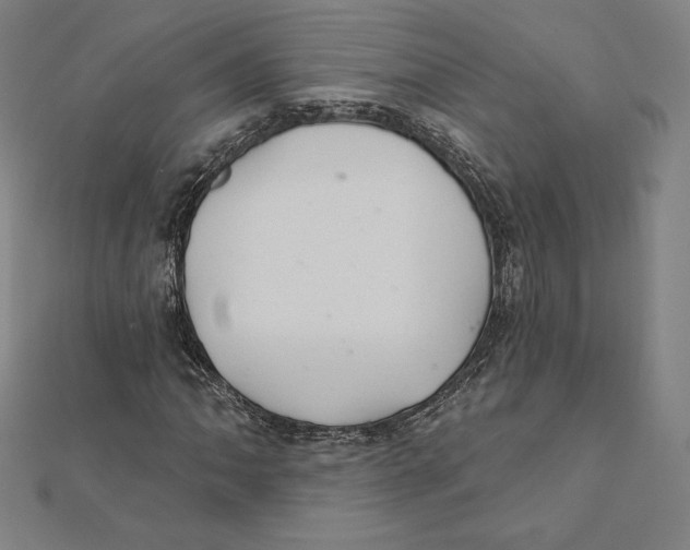 X0000112031062200908311211