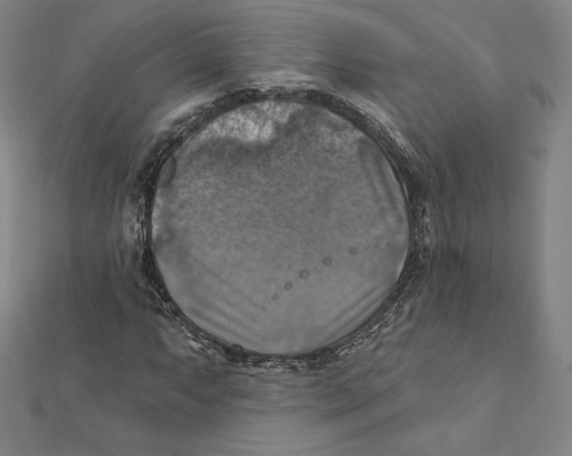 X0000112031063200908311211
