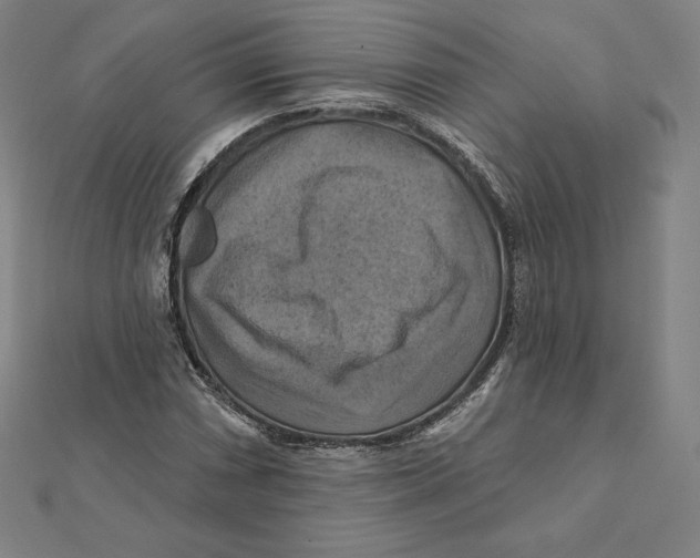 X0000112031066200908311211