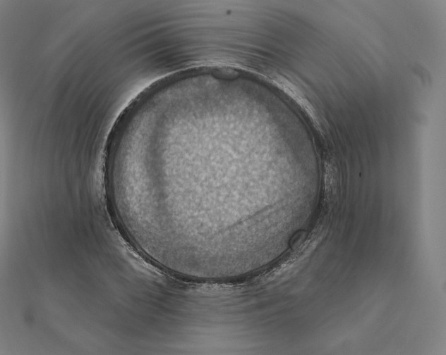 X0000112031068200908311211