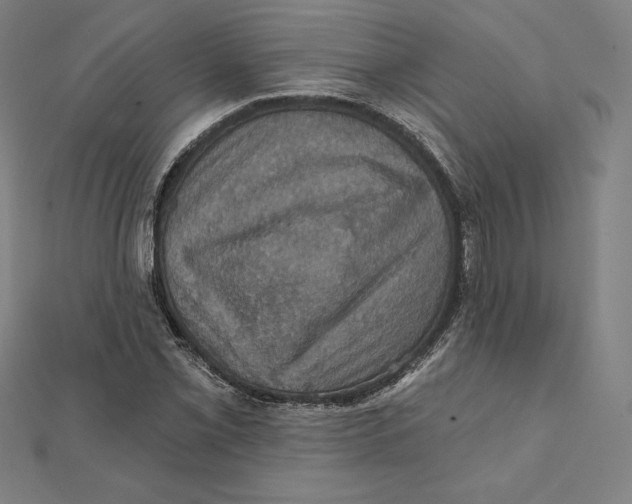 X0000112031069200908311211