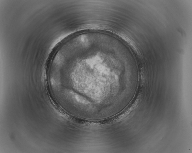 X0000112031070200908311211