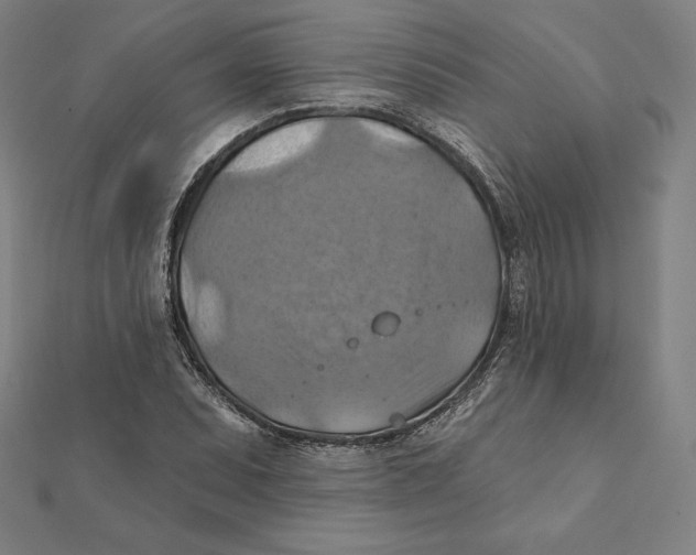 X0000112031071200908311211