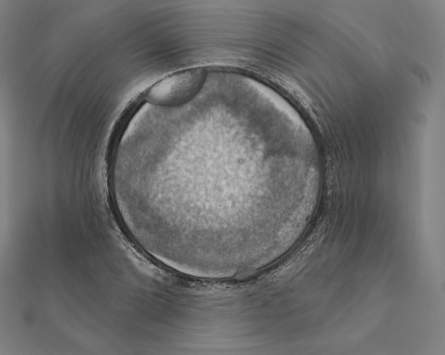 X0000112031072200908311211