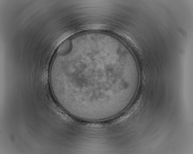 X0000112031073200908311211