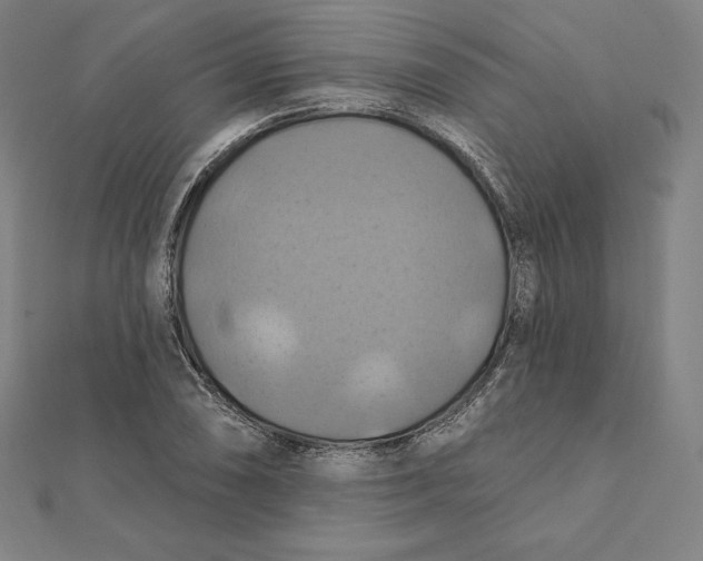 X0000112031074200908311211